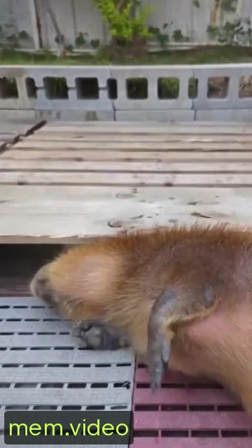 Кадр на 0:03