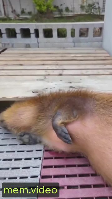 Кадр на 0:03