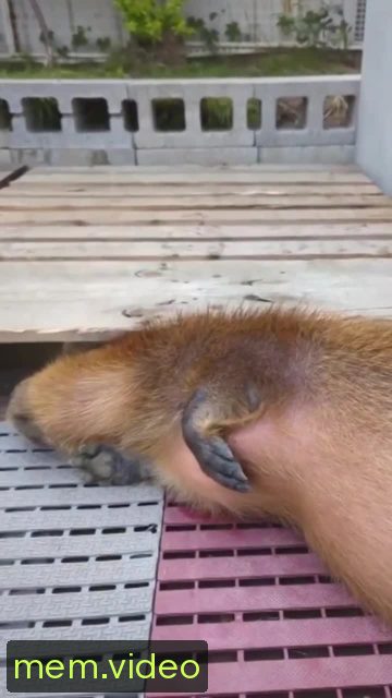 Кадр на 0:04