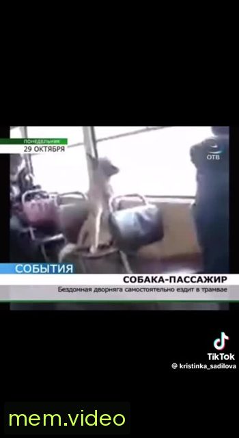 Кадр на 0:05