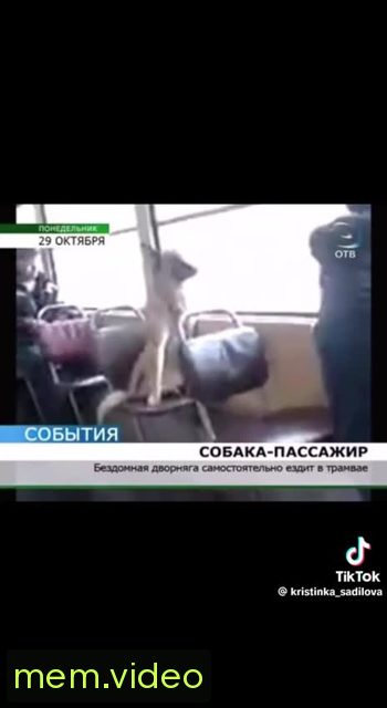 Кадр на 0:05