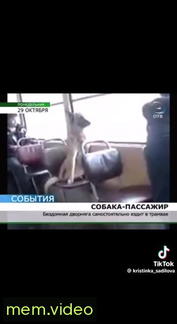 Кадр на 0:07