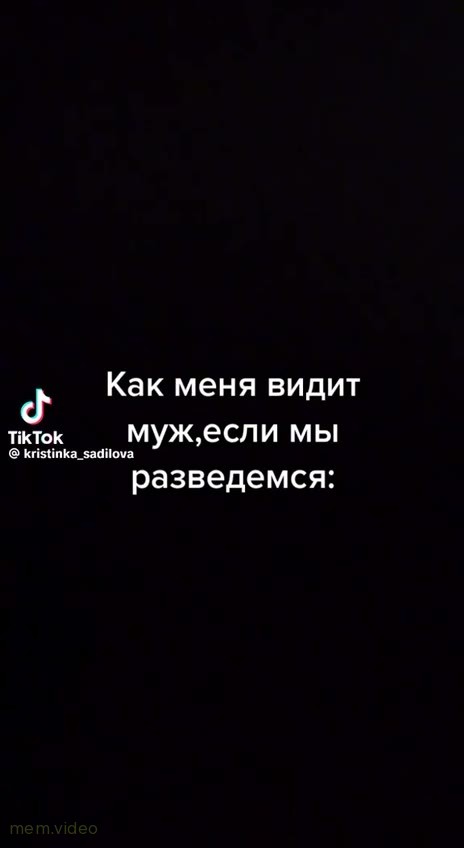 Кадр: Бездомная дворняга ездит в столовую в трамвае
