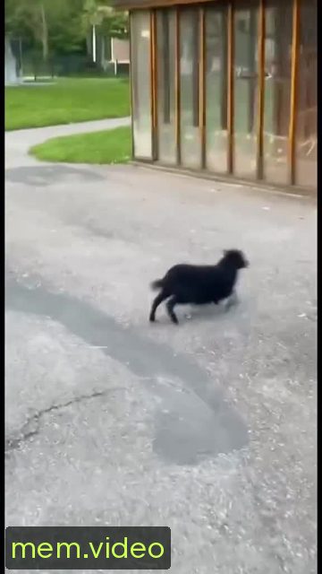 Кадр на 0:01
