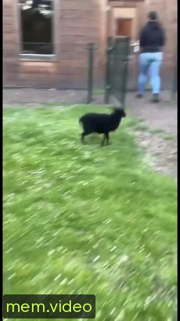 Кадр на 0:07