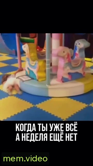 Кадр на 0:11