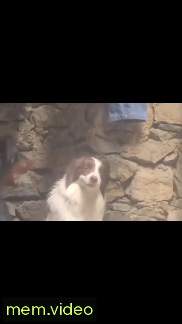 Кадр на 0:01