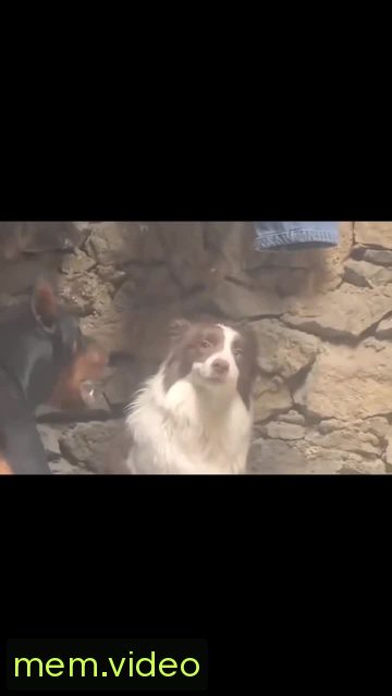 Кадр на 0:02