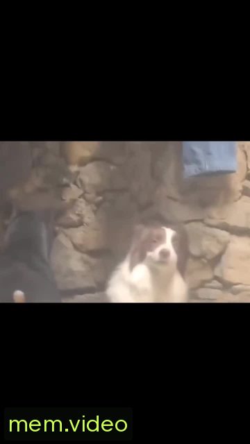 Кадр на 0:02