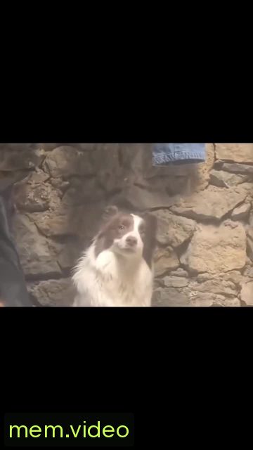 Кадр на 0:03