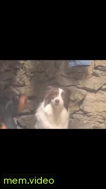 Кадр на 0:04