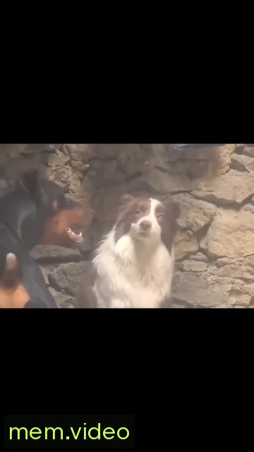 Кадр на 0:05
