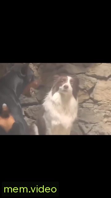 Кадр на 0:06