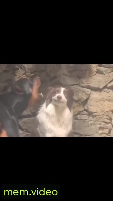 Кадр на 0:07