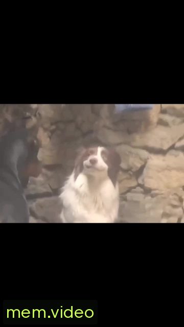 Кадр на 0:09