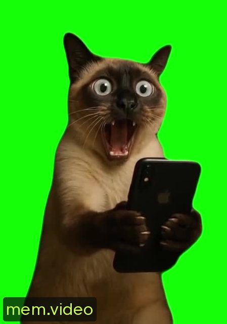 Кадр на 0:00
