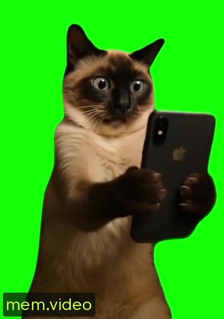 Кадр на 0:05