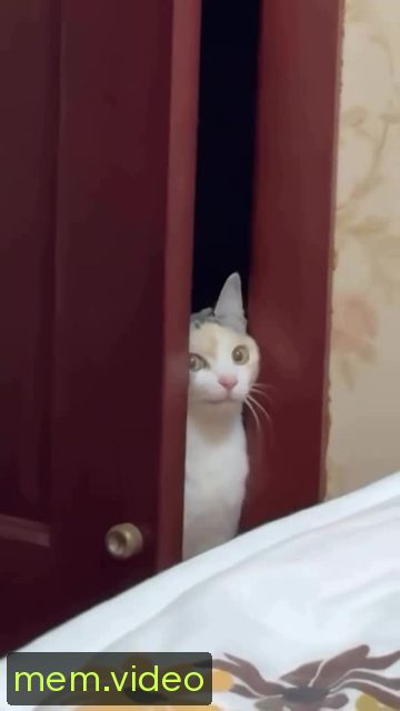 Кадр на 0:01