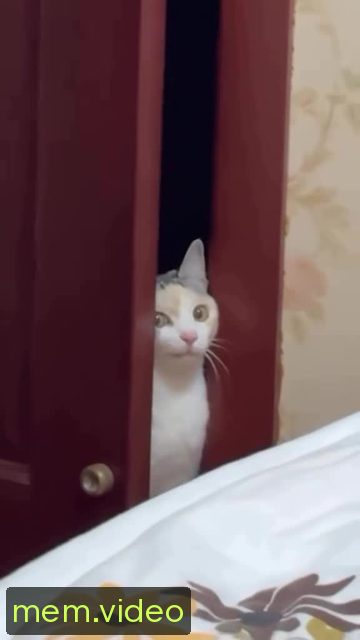 Кадр на 0:02