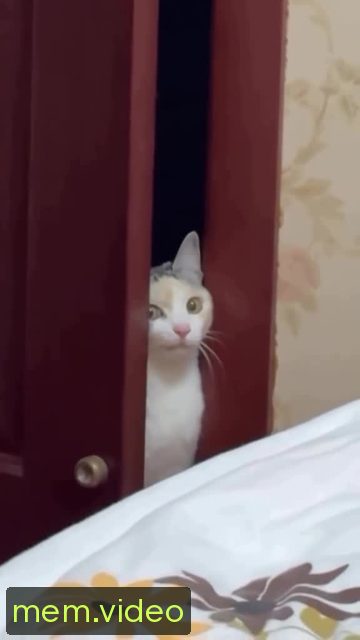 Кадр на 0:03