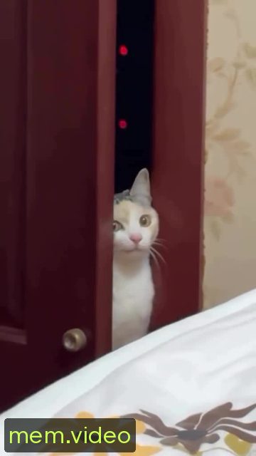 Кадр на 0:06