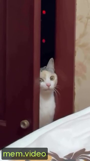 Кадр на 0:07