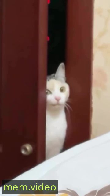 Кадр на 0:07