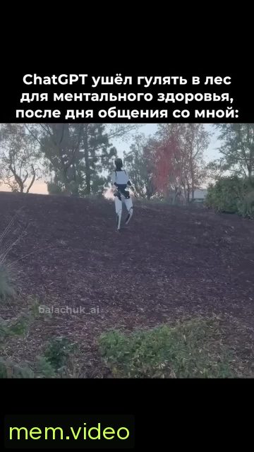 Кадр на 0:00