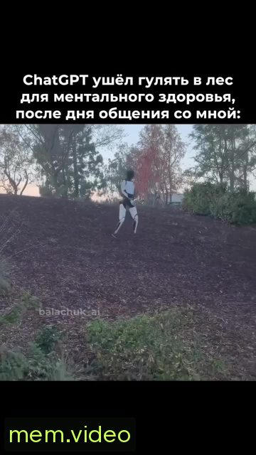 Кадр на 0:00