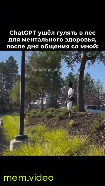 Кадр на 0:03