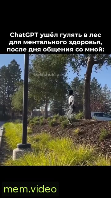 Кадр на 0:05