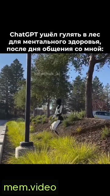 Кадр на 0:06