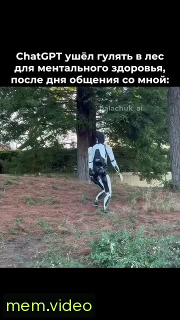 Кадр на 0:08