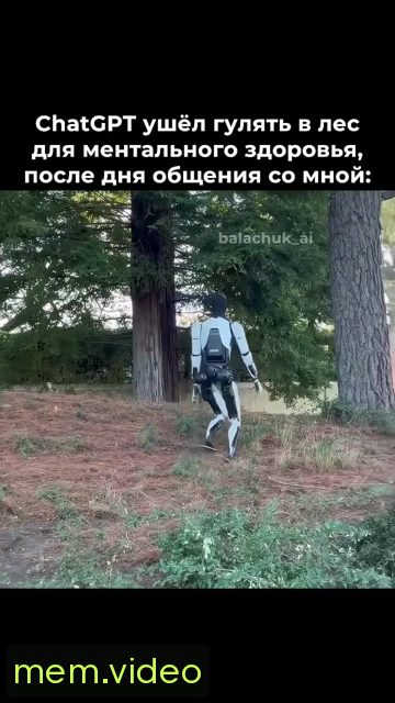 Кадр на 0:08