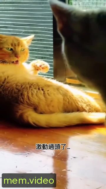 Кадр на 0:02