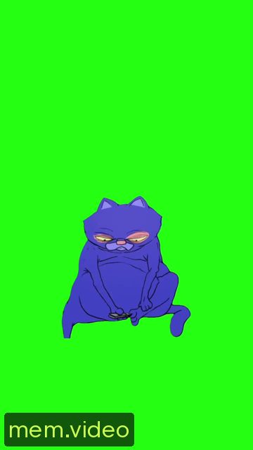 Кадр на 0:00