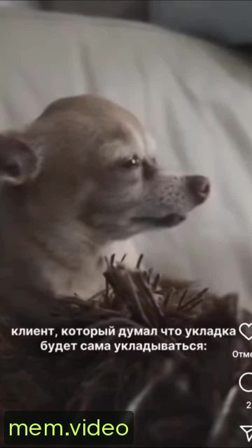 Кадр на 0:03