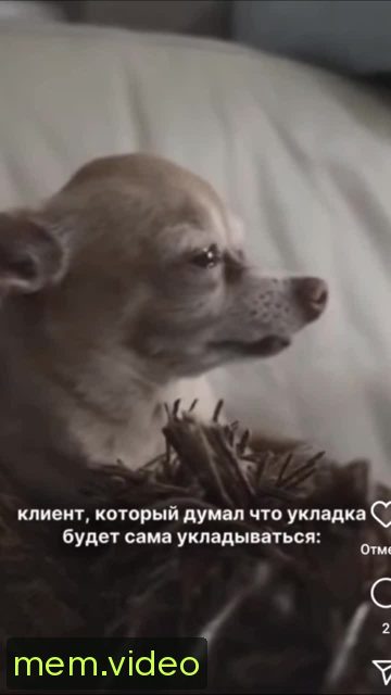 Кадр на 0:03