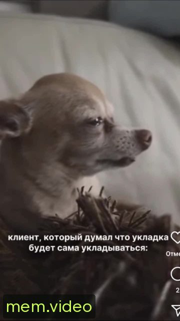 Кадр на 0:04