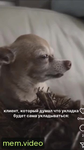 Кадр на 0:04