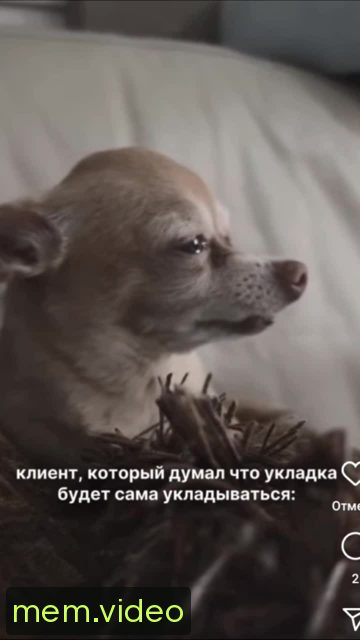 Кадр на 0:05