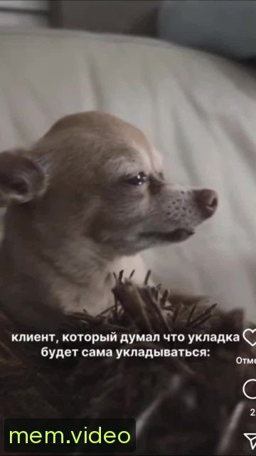 Кадр на 0:06