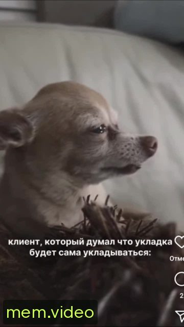 Кадр на 0:06