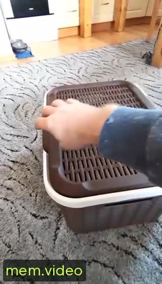 Кадр на 0:00