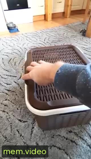 Кадр на 0:01