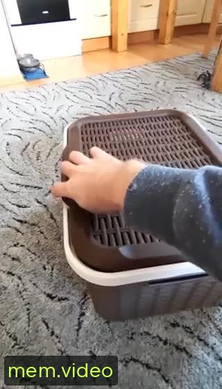 Кадр на 0:02