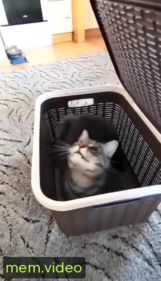 Кадр на 0:03