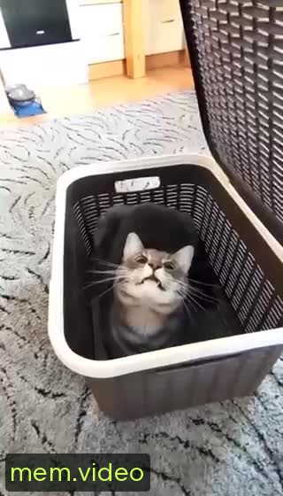 Кадр на 0:04