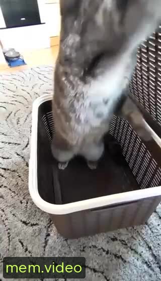 Кадр на 0:04