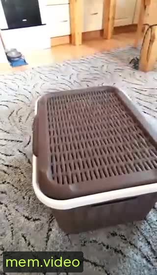 Кадр на 0:05